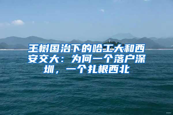 王樹(shù)國(guó)治下的哈工大和西安交大：為何一個(gè)落戶深圳，一個(gè)扎根西北