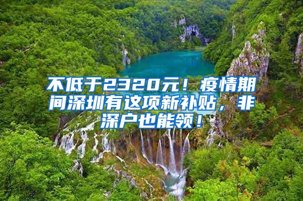 不低于2320元！疫情期間深圳有這項(xiàng)新補(bǔ)貼，非深戶也能領(lǐng)！