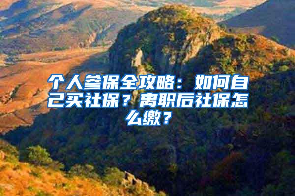 個(gè)人參保全攻略：如何自己買社保？離職后社保怎么繳？