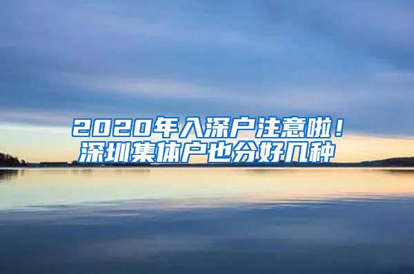 2020年入深戶注意啦！深圳集體戶也分好幾種