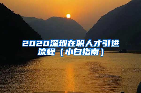 2020深圳在職人才引進流程（小白指南）