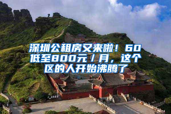 深圳公租房又來啦！60㎡低至800元／月，這個區(qū)的人開始沸騰了