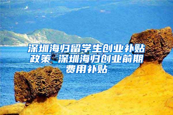 深圳海歸留學(xué)生創(chuàng)業(yè)補(bǔ)貼政策 深圳海歸創(chuàng)業(yè)前期費(fèi)用補(bǔ)貼