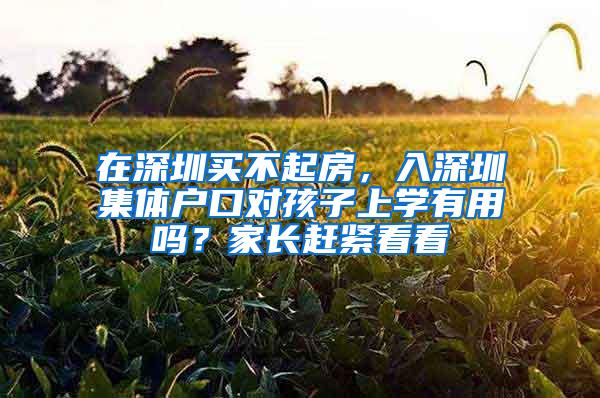 在深圳買不起房，入深圳集體戶口對孩子上學(xué)有用嗎？家長趕緊看看