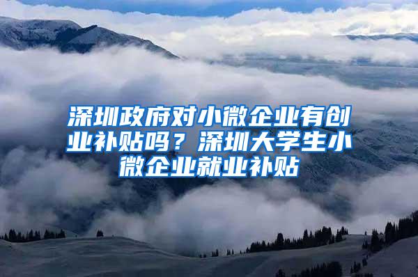 深圳政府對小微企業(yè)有創(chuàng)業(yè)補貼嗎？深圳大學生小微企業(yè)就業(yè)補貼