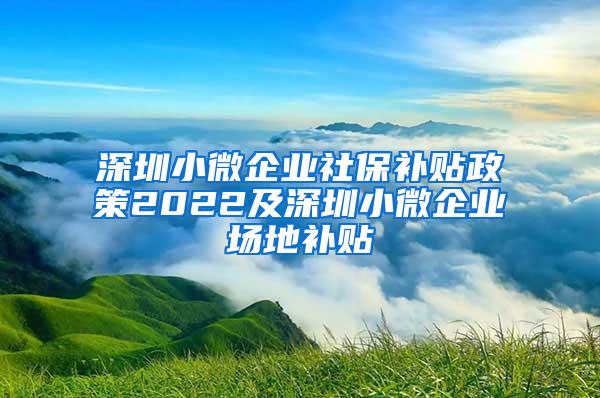 深圳小微企業(yè)社保補(bǔ)貼政策2022及深圳小微企業(yè)場地補(bǔ)貼