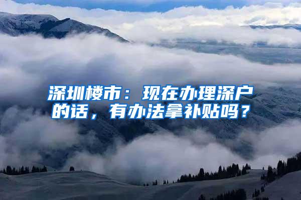 深圳樓市：現(xiàn)在辦理深戶的話，有辦法拿補貼嗎？