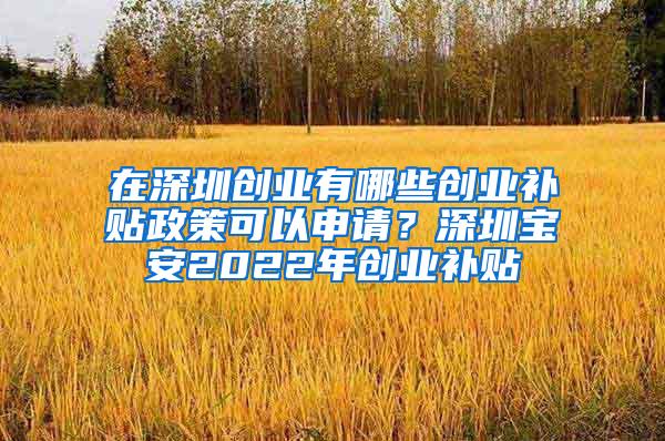 在深圳創(chuàng)業(yè)有哪些創(chuàng)業(yè)補貼政策可以申請？深圳寶安2022年創(chuàng)業(yè)補貼