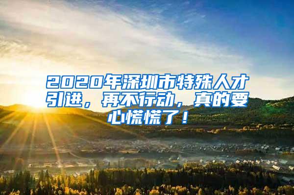 2020年深圳市特殊人才引進(jìn)，再不行動(dòng)，真的要心慌慌了！