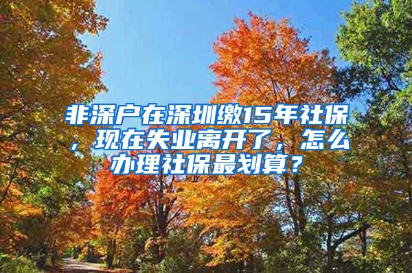 非深戶在深圳繳15年社保，現(xiàn)在失業(yè)離開了，怎么辦理社保最劃算？