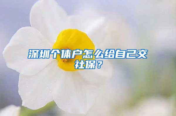 深圳個(gè)體戶怎么給自己交社保？