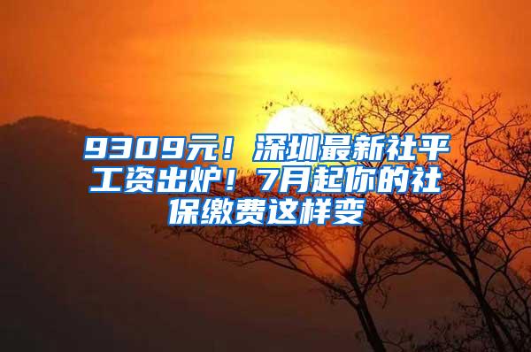 9309元！深圳最新社平工資出爐！7月起你的社保繳費(fèi)這樣變