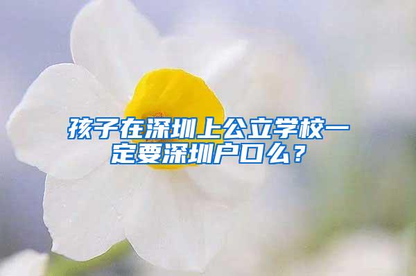 孩子在深圳上公立學(xué)校一定要深圳戶口么？