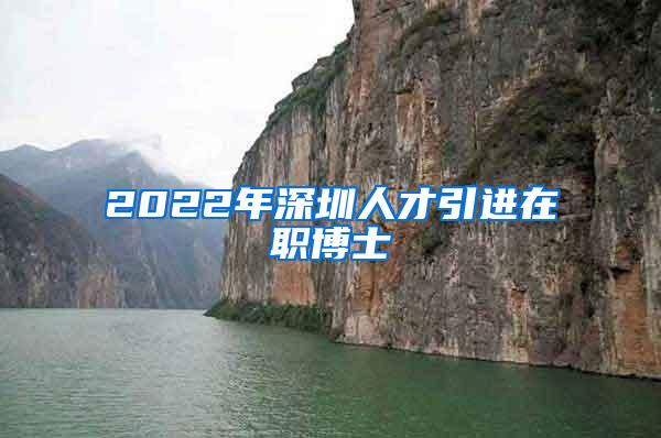 2022年深圳人才引進(jìn)在職博士