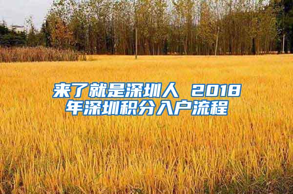 來了就是深圳人 2018年深圳積分入戶流程