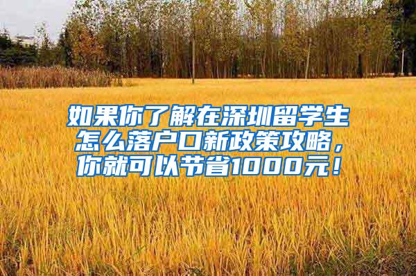 如果你了解在深圳留學(xué)生怎么落戶口新政策攻略，你就可以節(jié)省1000元！