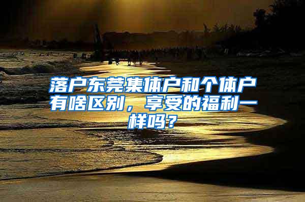 落戶東莞集體戶和個(gè)體戶有啥區(qū)別，享受的福利一樣嗎？