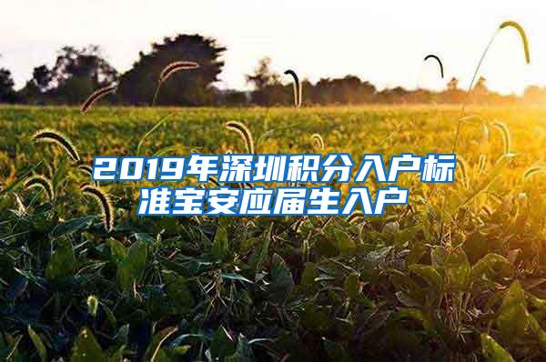 2019年深圳積分入戶標(biāo)準(zhǔn)寶安應(yīng)屆生入戶