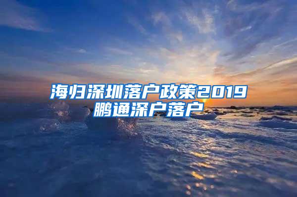 海歸深圳落戶政策2019鵬通深戶落戶