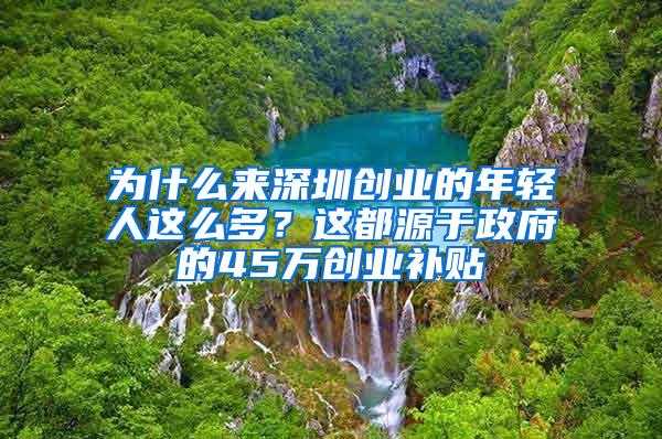 為什么來深圳創(chuàng)業(yè)的年輕人這么多？這都源于政府的45萬創(chuàng)業(yè)補(bǔ)貼