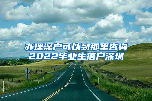 辦理深戶可以到那里咨詢2022畢業(yè)生落戶深圳