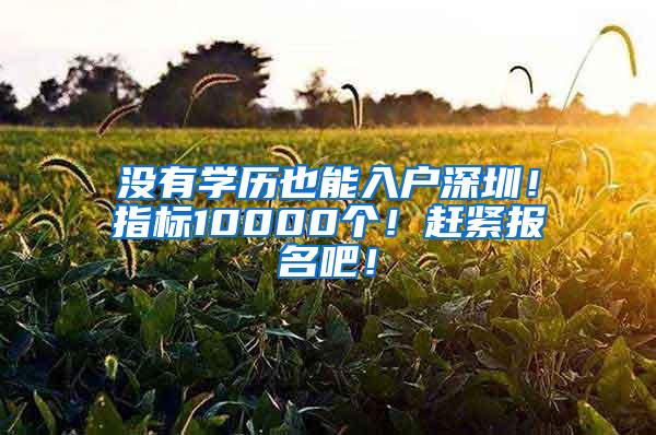 沒有學歷也能入戶深圳！指標10000個！趕緊報名吧！