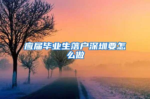 應(yīng)屆畢業(yè)生落戶深圳要怎么做