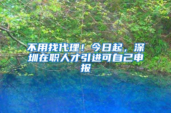 不用找代理！今日起，深圳在職人才引進(jìn)可自己申報(bào)