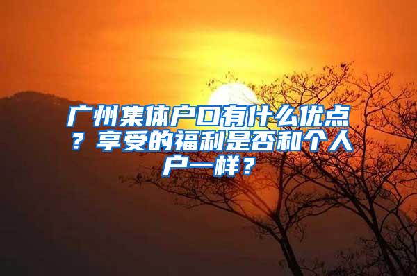 廣州集體戶(hù)口有什么優(yōu)點(diǎn)？享受的福利是否和個(gè)人戶(hù)一樣？