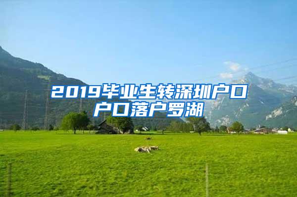 2019畢業(yè)生轉(zhuǎn)深圳戶口戶口落戶羅湖