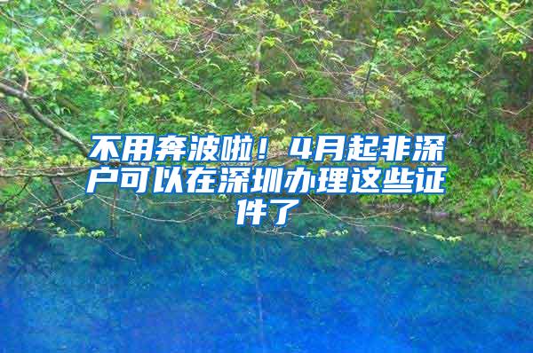 不用奔波啦！4月起非深戶可以在深圳辦理這些證件了