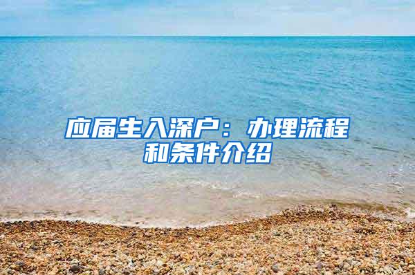 應(yīng)屆生入深戶：辦理流程和條件介紹