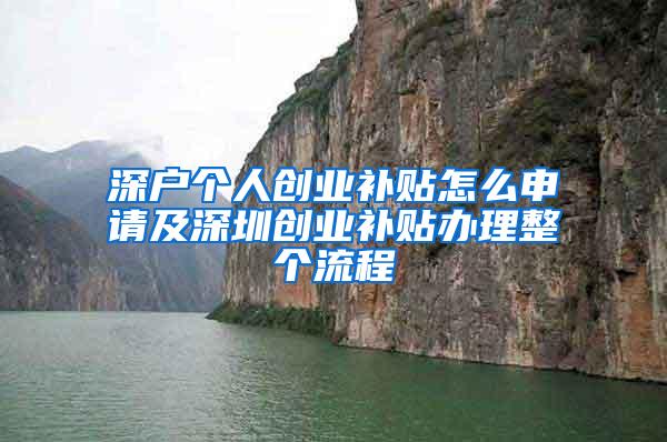 深戶個(gè)人創(chuàng)業(yè)補(bǔ)貼怎么申請(qǐng)及深圳創(chuàng)業(yè)補(bǔ)貼辦理整個(gè)流程