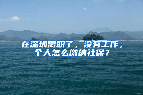 在深圳離職了，沒有工作，個人怎么繳納社保？