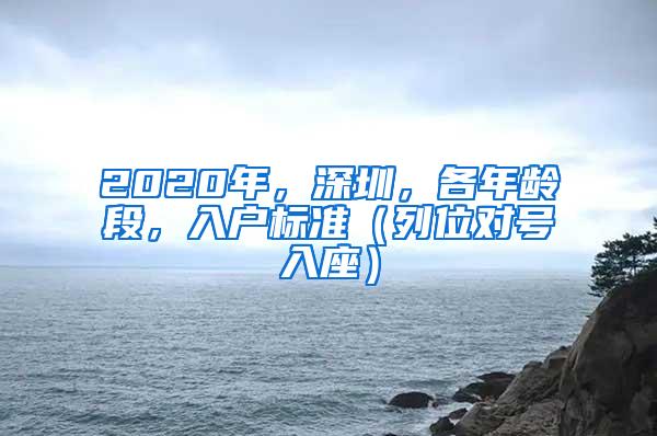 2020年，深圳，各年齡段，入戶標(biāo)準(zhǔn)（列位對(duì)號(hào)入座）