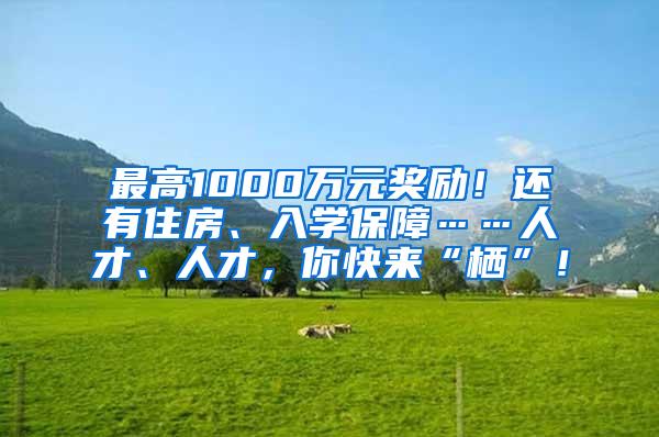 最高1000萬元獎勵！還有住房、入學(xué)保障……人才、人才，你快來“棲”！