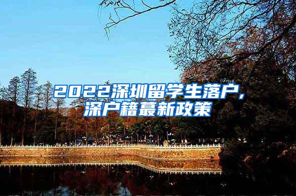 2022深圳留學(xué)生落戶,深戶籍蕞新政策