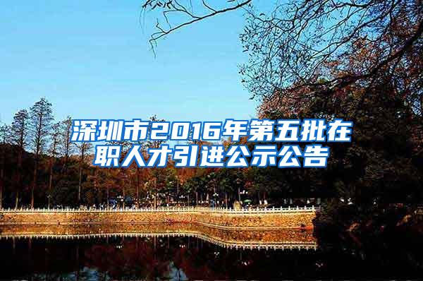 深圳市2016年第五批在職人才引進(jìn)公示公告