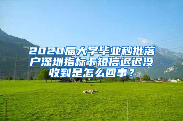 2020屆大學(xué)畢業(yè)秒批落戶深圳指標(biāo)卡短信遲遲沒收到是怎么回事？