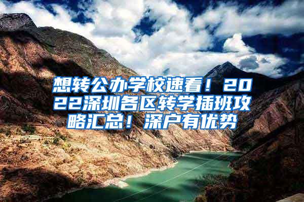 想轉(zhuǎn)公辦學(xué)校速看！2022深圳各區(qū)轉(zhuǎn)學(xué)插班攻略匯總！深戶有優(yōu)勢