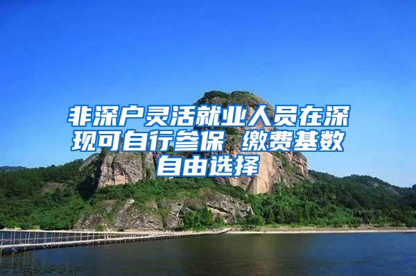 非深戶靈活就業(yè)人員在深現(xiàn)可自行參保 繳費基數(shù)自由選擇