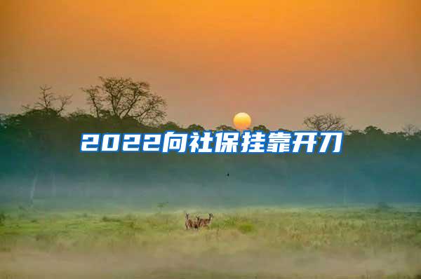 2022向社保掛靠開刀