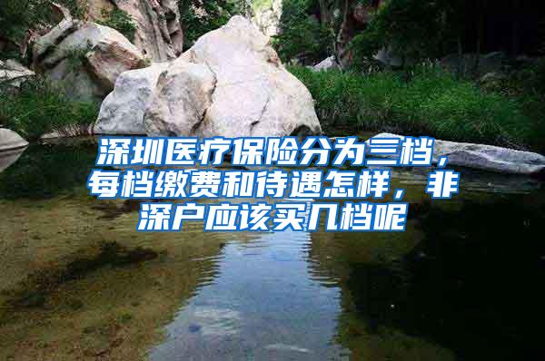 深圳醫(yī)療保險分為三檔，每檔繳費和待遇怎樣，非深戶應(yīng)該買幾檔呢