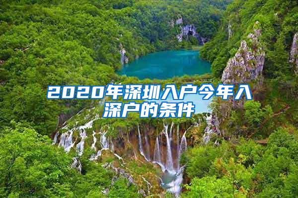 2020年深圳入戶今年入深戶的條件