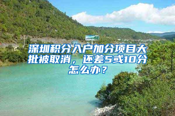 深圳積分入戶加分項目大批被取消，還差5或10分怎么辦？