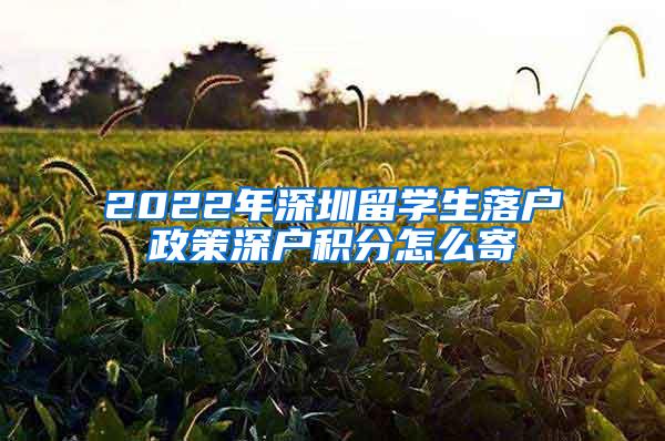 2022年深圳留學生落戶政策深戶積分怎么寄