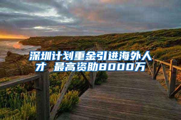 深圳計(jì)劃重金引進(jìn)海外人才 最高資助8000萬(wàn)