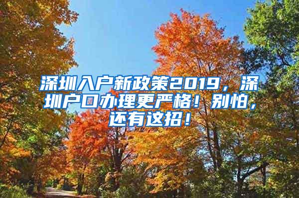 深圳入戶新政策2019，深圳戶口辦理更嚴(yán)格！別怕，還有這招！