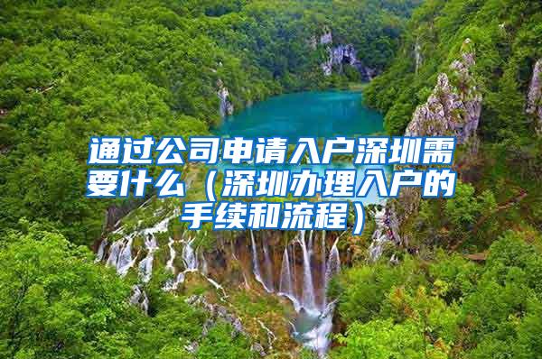 通過公司申請入戶深圳需要什么（深圳辦理入戶的手續(xù)和流程）