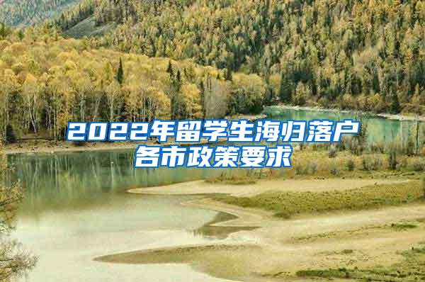 2022年留學(xué)生海歸落戶各市政策要求